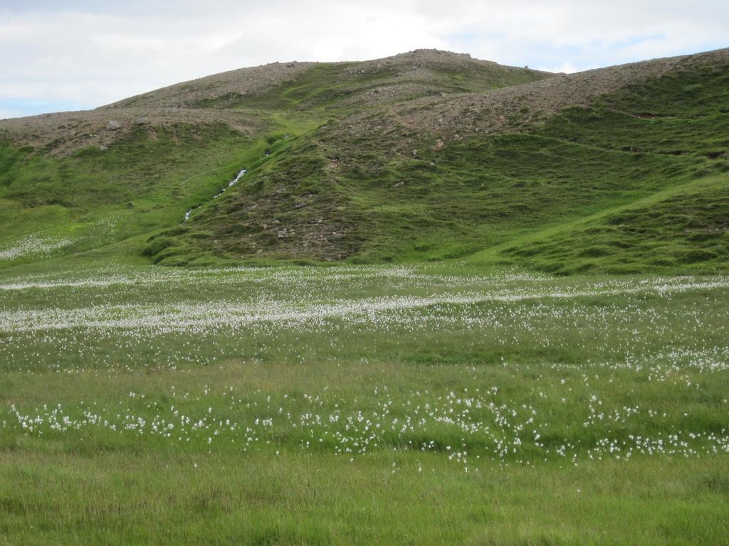 Reykjarholl Guesthouse Gimbur מראה חיצוני תמונה